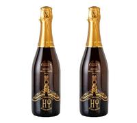 Zago Birrificio Agricolo - The Original HY Super Beer - cl. 75 - ZAGO - Birra Bionda - 2 Bottiglie da cl. 75 -