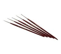 Pennello per artisti zahn pinsel martora rossa 5 parti