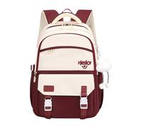 Zaino Alla Multiple Compartment Con Fascino A Sospensione Per Studente E Pendolari Grandi Dimensioni.