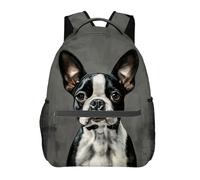 Zaino Bostons Terrier Dog Zaini Trekking Zaino Da Scuola Grande Zainetto Per Escursioni Scuola Notebook