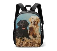 Zaino casual da viaggio con tre cani Labrador, zaino da viaggio con cinghie regolabili, per donne e uomini