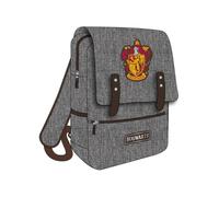 Zaino Casual Tecnico Harry Potter Grifondoro 30.0 X 40.0 X 13.0 Cm, multicolore, Estándar, Casual