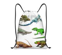 Zaino con Coulisse Different Types of Lizard Sacca Sportiva Durevole Impermeabile Borsa da Ginnastica, per Ciclismo, Uomo, Escursionismo, 36x42cm
