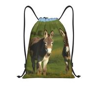 Zaino con Coulisse Donkey On Green Meadow Borsa con Coulisse Leggero Sacca da Palestra Pieghevole Sportiva Zainetto per Unisex Vacanze Viaggi