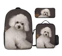 Zaino da 3 pezzi per donne e uomini, leggero, casual, borsa a tracolla, set con borsa termica per il pranzo e astuccio organizer barboncino francese