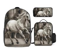 Zaino da 3 pezzi per donne e uomini, leggero, casual, borsa a tracolla, set con borsa termica per il pranzo e astuccio organizer con cavallo in strada