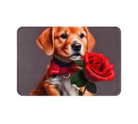 Zaixiansj Tappeto antiscivolo da 61 cm con stampa di un cane gentiluomo, tappetino da bagno, morbido e assorbente