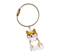 Zajop Portachiavi commemorativo per ceneri di animali domestici, con scatola protettiva trasparente, per proteggere i peli del cane, regalo sentimentale per animali domestici