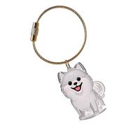 Zajop Portachiavi commemorativo per ceneri di animali domestici, con scatola protettiva trasparente, per proteggere i peli del cane, regalo sentimentale per animali domestici