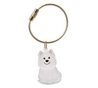 Zajop Portachiavi commemorativo per ceneri di animali domestici, con scatola protettiva trasparente, per proteggere i peli del cane, regalo sentimentale per animali domestici