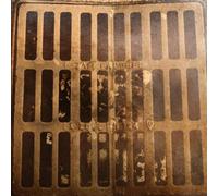 Zak Laughed - Love Is In The Carpet