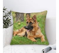 ZaKhs Federa decorativa per cuscino con cane pastore tedesco, in velluto super morbido, quadrata, per divano, camera da letto, soggiorno, 40,6 x 40,6 cm