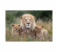 ZAMAEIU Animale Quadro su Tela, Leoni nei campi di fiori, Quadri Moderni Stampe Soggiorno Camera Letto appartamento Poster Parete Immagine Decorazione(marrone)-20x30cm Non incorniciato
