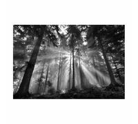 ZAMAEIU Generico Carta da Parati Moderna Bagliore nell'abisso della foresta Schizzo In Bianco E Nero Fotomurali Moda, Adatto per camera da letto,(bianco e nero125)-30x50cm Non incorniciato