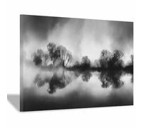 ZAMAEIU Poster e stampe a stratta moderne Specchio di nebbia delle foreste quadri da parete, Moderno Grafica,per Soggiorno Camera da letto per la casa(bianco e nero08)-30x50cm Incorniciato