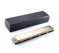 ZAMASS Armonica A Bocca Professionale Armonica Professionale Armonica Polifonica A 24 Fori per Principianti E Adulti(Gold,EB Tone)