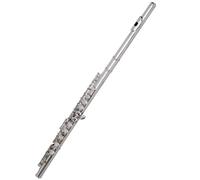 ZAMASS Flauto Traverso Strumenti 16 Tasti Foro Chiuso Tono C Flauto Superficie Nichelata Aggiungi La Chiave E Strumenti A Fiato Flauto