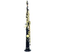 ZAMASS Set Sassofono con Sassofono Contralto SIB Diritto Ottone Placcato Argento Si Bemolle Sax Strumento A Fiato con Custodia Ance Guanti Accessori(A)