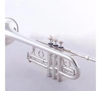 ZAMASS Strumento Tromba Professionale La Tromba Professionale Drop da E A D con Due Set di Tubi Che Cambiano Il Suono può Cambiare Tono di Livello Professionale