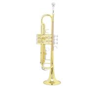 ZAMASS Strumento Tromba Professionale Set di Trombe Standard in Bronzo Fosforoso in SIB Strumenti A Tromba per Principianti in Ottone con Guanti A Scatola(Trumpet)