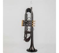 ZAMASS Strumento Tromba Professionale Strumenti Musicali Professionali con Chiave in Oro Nichel Nero Tromba Piccola in SIB con Custodia