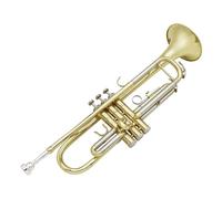 ZAMASS Strumento Tromba Professionale Strumento in Ottone B Tromba Piatta Tromba Bicolore in Oro E Argento I Principianti Praticano La Tromba Professionale