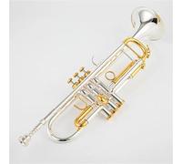 ZAMASS Strumento Tromba Professionale Tromba in SIB Tromba Placcata Argento Piccolo Strumento Musicale in Ottone Professionale
