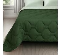 Zambaiti Trapunta Invernale Double Face Bicolore in Morbida Microfibra - Made in Italy - Tessitura Calda, Soffice e Lavabile - Matrimoniale Art. Acapulco (SALVIA)