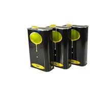 Zambonin agricoltura Contenitori per la conservazione dell'olio in Metallo Completi di Tappo (3, 1 litro)