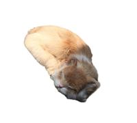 Zambuph Gatto addormentato sicuro per un tocco morbido e non tossico e un rivestimento tangibile per un'esperienza realistica realistica per l'emulazione, giallo