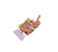 Zambuph Modello di anatomia dell'intestino tenue e crasso, strumento didattico rimovibile, per migliorare la comprensione dell'apparato digerente, modello didattico rimovibile,