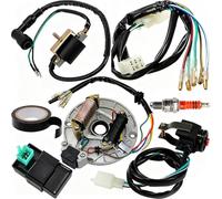 ZAMDOE Kit Cablaggio Bobina statore Magnete a 2 Bobine per 50cc 70cc 90cc 110cc 125cc 140cc per Taotao per Kazuma per Baja ATV Dune Buggy Go Kart Scooter Pit Bike Quad Ciclomotore Motore a 4 Tempi