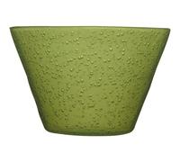 Zani Serafino Small Bowl Memento Synth in Metacrilato D 11,50 Cm Colore Lime