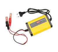 Zankie Caricabatterie 12V Automotive | Caricabatterie e mantenitore 12V | Caricabatterie Automatico Intelligente Manutentore di caricabatteria Powersport per motocicli, ATV, UTV