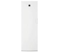 Zanussi ZUAN28FW Congelatore verticale 276L F Bianco