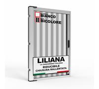 Zanzariera a Rullo 150x250cm Riducibile Rallentata Magnetica Bianca RETE BICOLOR
