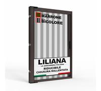Zanzariera a Rullo 150x250cm Riducibile Rallentata Magnetica Marrone RETE BICOLO