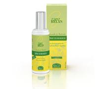 Zanzhelan Spray Anti Zanzare Ecologico 100Ml