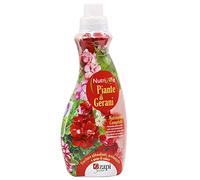 Zapi Concime Gerani Liquido 1 Lt