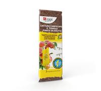 Zapi Garden | Trappola Bi-Adesiva Cromotropica con Feromoni BIO, Cattura Carpocapsa e Tignola Piante da Frutto, 3 Trappole Pronte all'Uso 9,6x18,5cm
