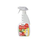 ZAPI INSETTICIDA ANTI COCCINIGLIA - Spray Cocciniglia Piante Pronto all’Uso 500 ml - Olio di Colza 1,53% - Cocciniglia Insetticida - contro Afidi, Tripidi, Mosca Bianca, Cocciniglie