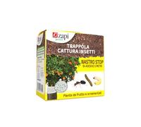 Zapi Nastro Biadesivo Astuccio Con Nastro 5 Mt