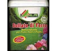 ZAPI Solfato di Ferro Rinverdente e Antimuschio per Prato, Fiori e Piante da 5 kg