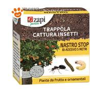 Zapi Nastro Biadesivo Astuccio Con Nastro 5 Mt