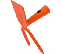 Zappetta quadrata Stocker