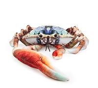 Zappi Co Kids's Soft Cuddly Plush Toy - Perfect soft playmates for kids in printed style (28cm length) (Blue fiddler crab)