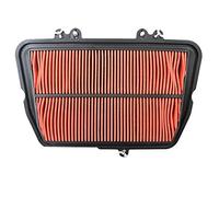 ZAPYVET Griglia di Pulizia del Filtro dell'Aria for Moto Tiger 800 XC XCX XR XRX 2010-2019 Filtro Aria per Moto