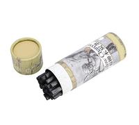 ZASCHMOY 25 Carboncini per Disegno a Matita per Artisti - Strumenti Versatili per il Disegno Artistico per Schizzi, Pittura a Olio e Pittura Cinese - Durevoli e Cancellabili (Marley 7333 Strisce di