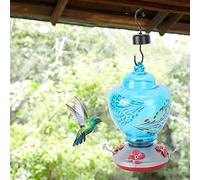 ZASCHMOY Alimentatore Colorato di colibrì con Pesce Persico a Riposo e Fossato Strumento di Alimentazione degli Uccelli da Giardino in Vetro Affidabile | Attraente Decorazione del Cortile (E)