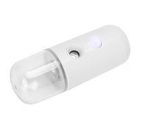 ZASCHMOY Nano Nebulizzatore per il Viso - Mini Spruzzatore Idratante per il Viso Portatile Adatto a Tutti i di Pelle, Serbatoio dell'acqua 30 Ml, Ricaricabile Tramite USB